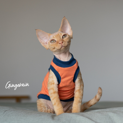 Gingerain德文猫衣服背心天竺棉