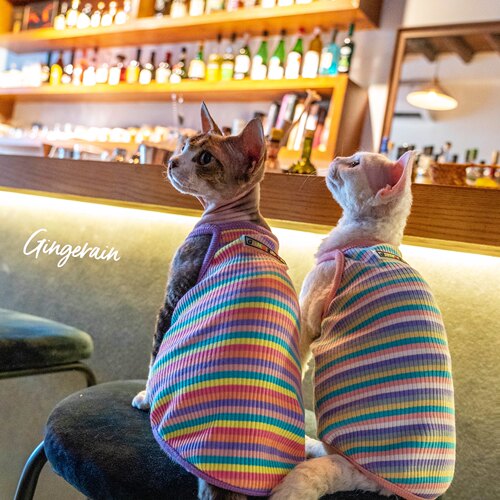 GINGERAIN德文猫衣服纯棉背心