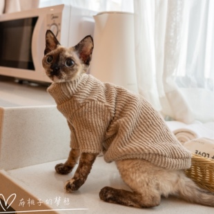 GINGERAIN 德文猫无毛猫衣服毛衣保暖肌理质感柔软网红INS风外套