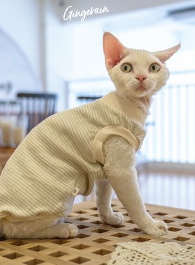 GINGERAIN  德文猫衣服斯芬克斯无毛猫柯尼斯有机棉背心