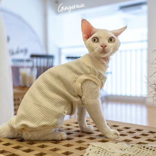 GINGERAIN/布桃子的梦想纯棉背心