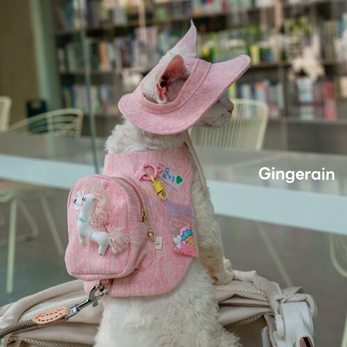GINGERAIN  露营户外遛猫牛仔背包胸背带牵引绳德文猫书包