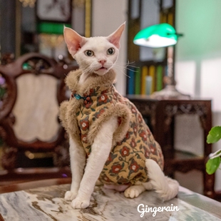 GINGERAIN 民国风旗袍猫咪德文猫加绒毛毛领马甲棉袄无毛猫