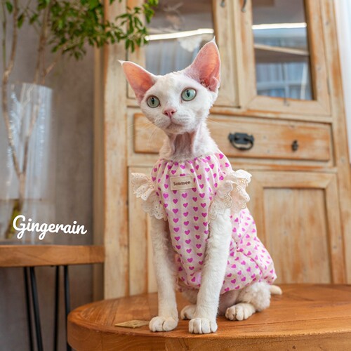 纯棉背心猫咪布桃子的梦想