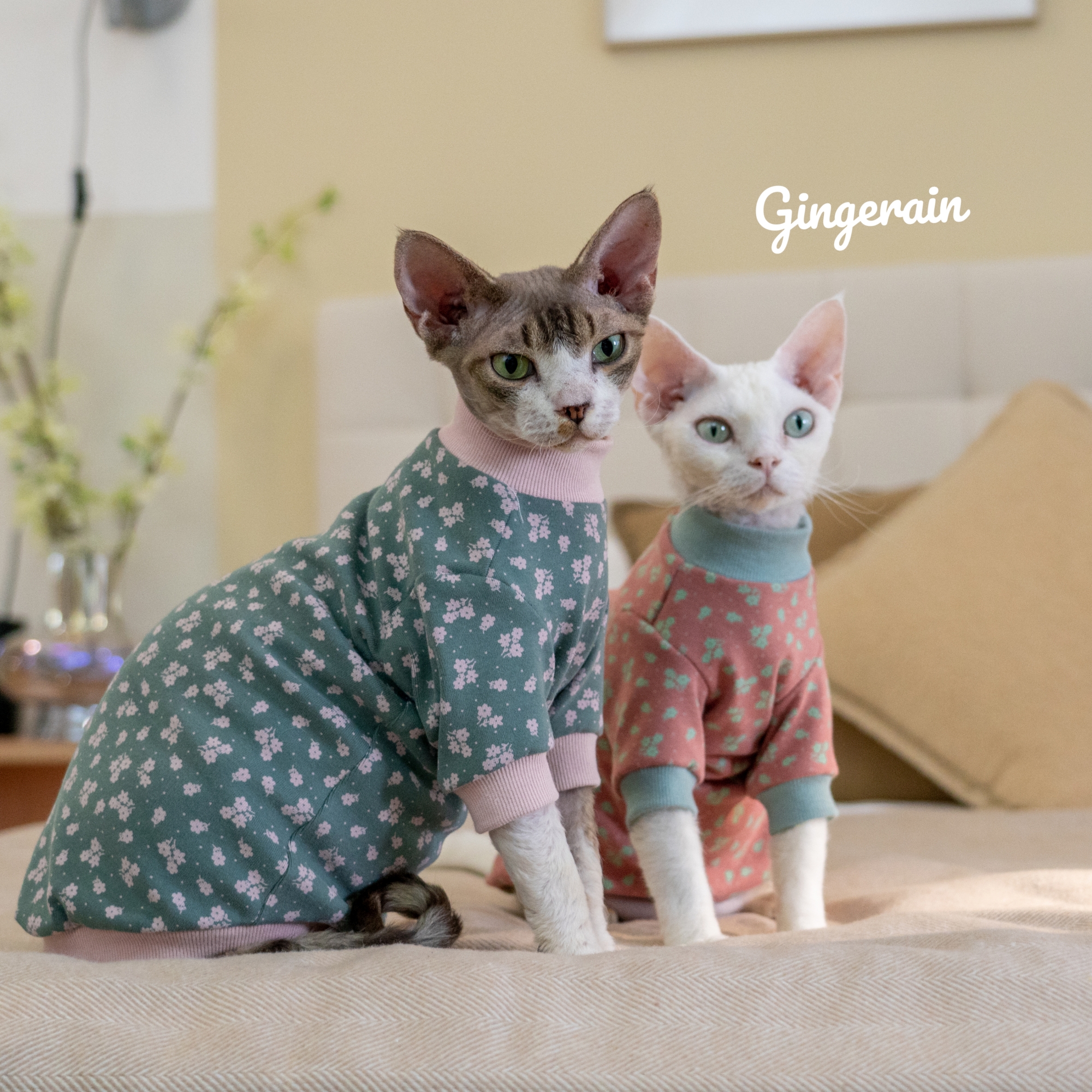 GINGERAIN德文猫卡通印花T恤