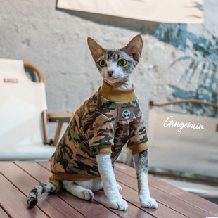 GINGERAIN 户外露营春秋纯棉卫衣无毛猫衣服德文猫迷彩军旅外套