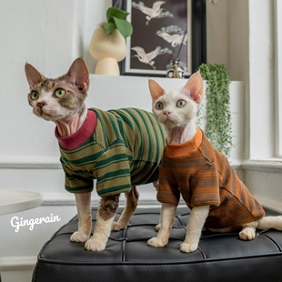 GINGERAIN T恤小卫衣 德文猫衣服棉质华夫格无毛猫条纹打底衫