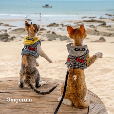 GINGERAIN  带猫旅行户外遛猫牛仔胸背带牵引绳德文无毛猫马甲