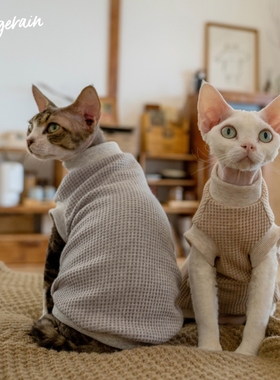 GINGERAIN 重磅华夫格加厚弹力保暖纯棉德文猫衣服无毛猫背心基础