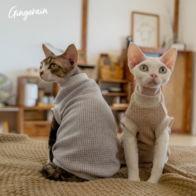 无毛猫衣服保暖背心GINGERAIN