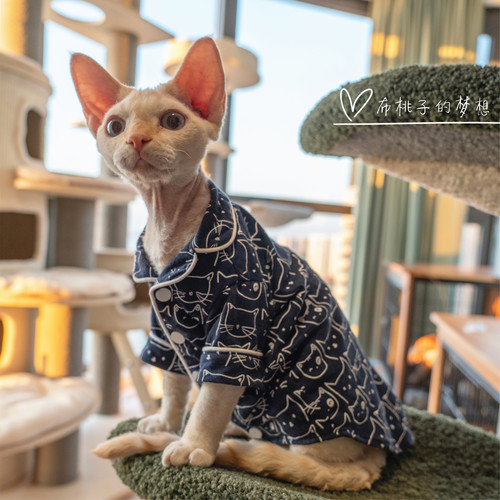 gingerain德文猫衣服猫咪图案