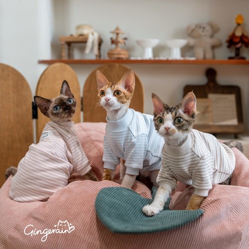 GINGERAIN 有机棉加厚卫衣无毛猫衣服德文猫打底衫纯棉舒适T恤