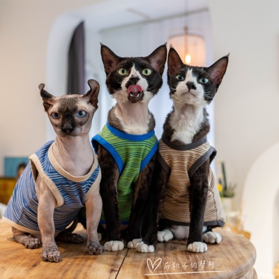 布桃子的梦想无毛猫空调服纯棉