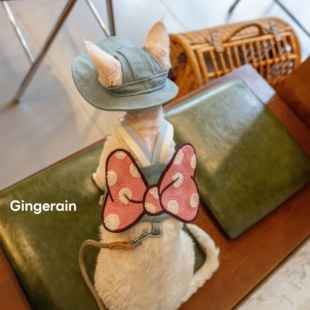 GINGERAIN 美少女战士牛仔胸背带可牵引绳遛猫神器无毛猫德文猫