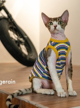 GINGERAIN 无毛猫衣服斯芬克斯德文弹力跨栏纯棉条纹弹力背心
