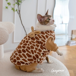 GINGERAIN 超厚棉马甲棉服德文猫衣服无毛猫冬季保暖实用外套