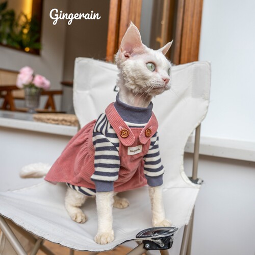 猫咪背带裙套装布桃子的梦想