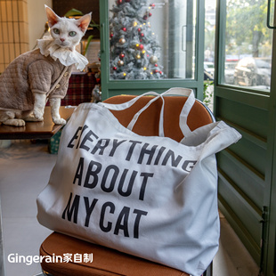 GINGERAIN自制 一款能装下猫咪外出时用到的所用东西的大帆布包