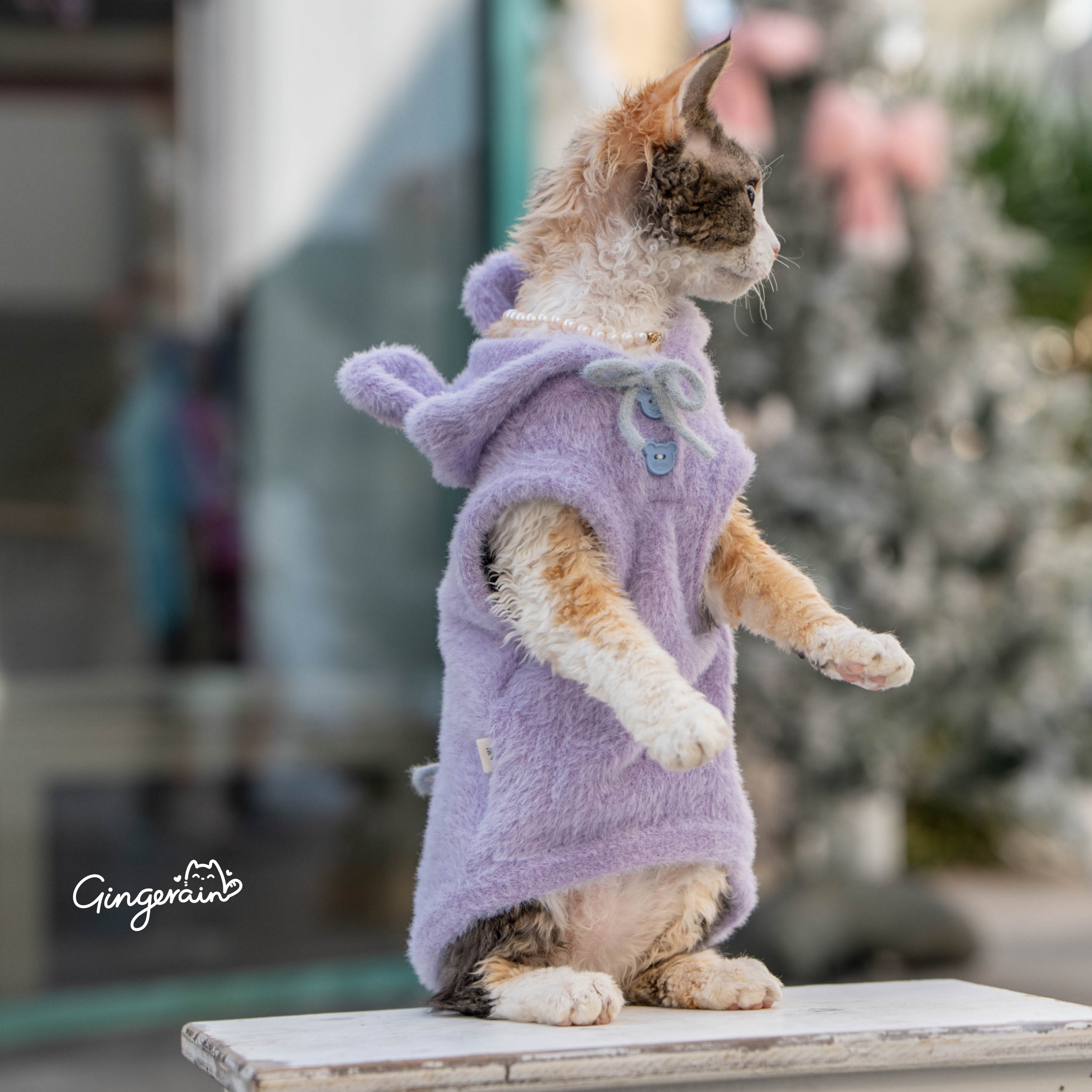 GINGERAIN 新年毛茸茸马甲背心德文猫无毛猫连帽小熊保暖外套图片