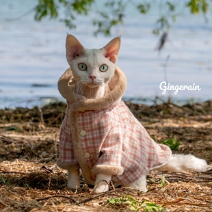 GINGERAIN 德文猫衣服无毛猫毛呢毛毛领带里衬长袖系扣大衣外套