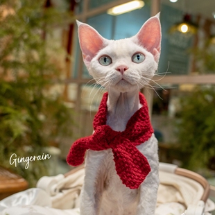 GINGERAIN 节日小围巾新年祝福无毛猫德文搭配衣服用装饰毛线领巾