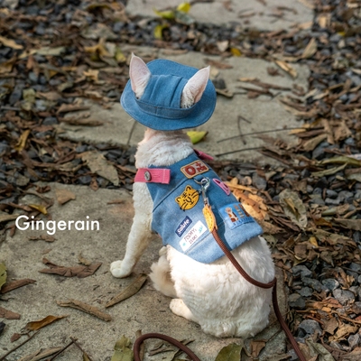 GINGERAIN  露营户外风牛仔遛猫胸背带牵引绳套装德文无毛猫背心