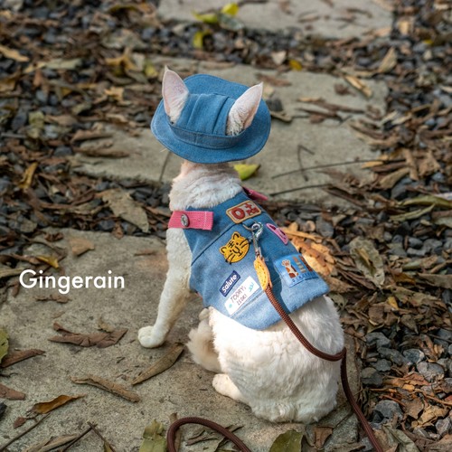 GINGERAIN  露营户外风牛仔遛猫胸背带牵引绳套装德文无毛猫背心