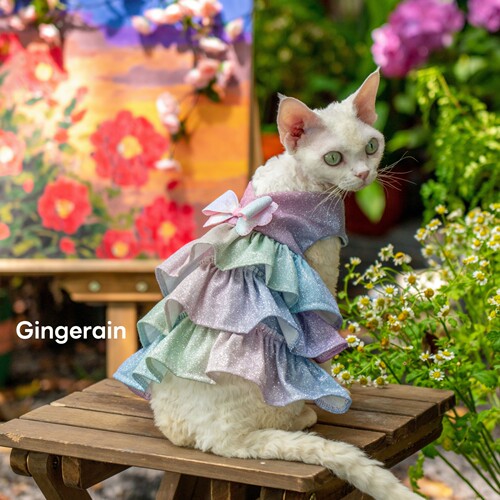 GINGERAIN 闪光蛋糕裙仙女裙艾莎德文猫衣服无毛猫层层裙背心裙