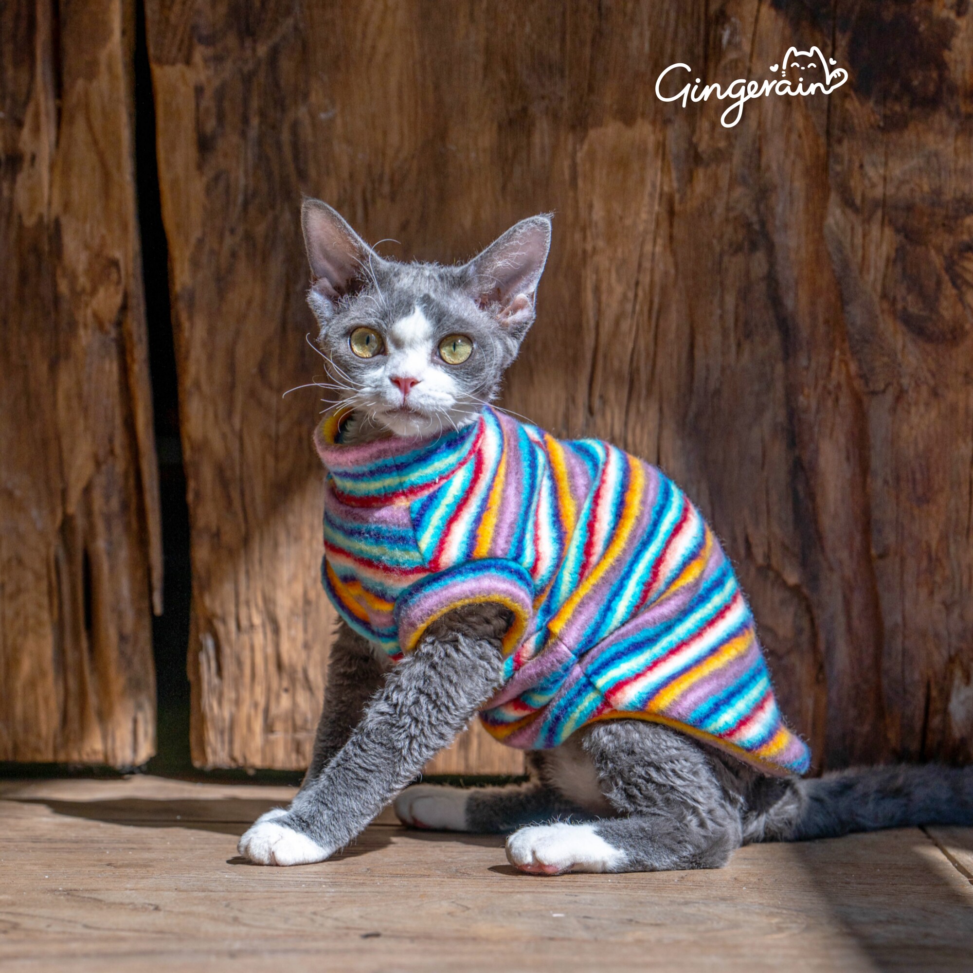 GINGERAIN 暖暖彩虹条加厚德文猫无毛猫秋季保暖磨毛背心