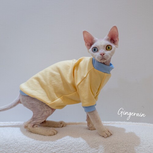GINGERAIN德文猫棉质T恤空调衫