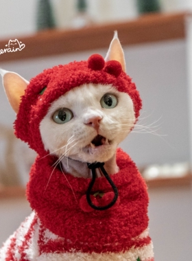 GINGERAIN 新年条纹暖绒马甲背心高领精致刺绣气质马甲保暖套装