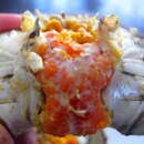 苏州全母蟹大闸蟹活蟹螃蟹鲜活大闸蟹全母礼盒装 可公母蟹湖蟹10只