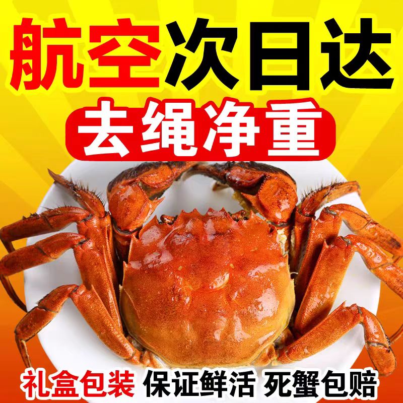 凈重六月黃大閘蟹活蟹螃蟹鮮活大閘蟹特大禮盒裝公母湖蟹可全母