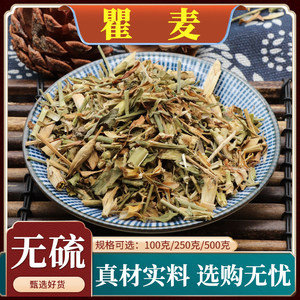 瞿麦中药材巨麦山花石竹