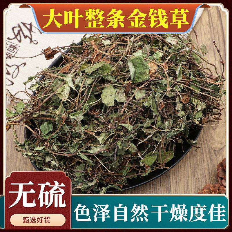 大叶整条金钱草中药材正