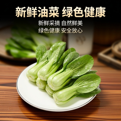 上海青小白菜四季新鲜1.5kg
