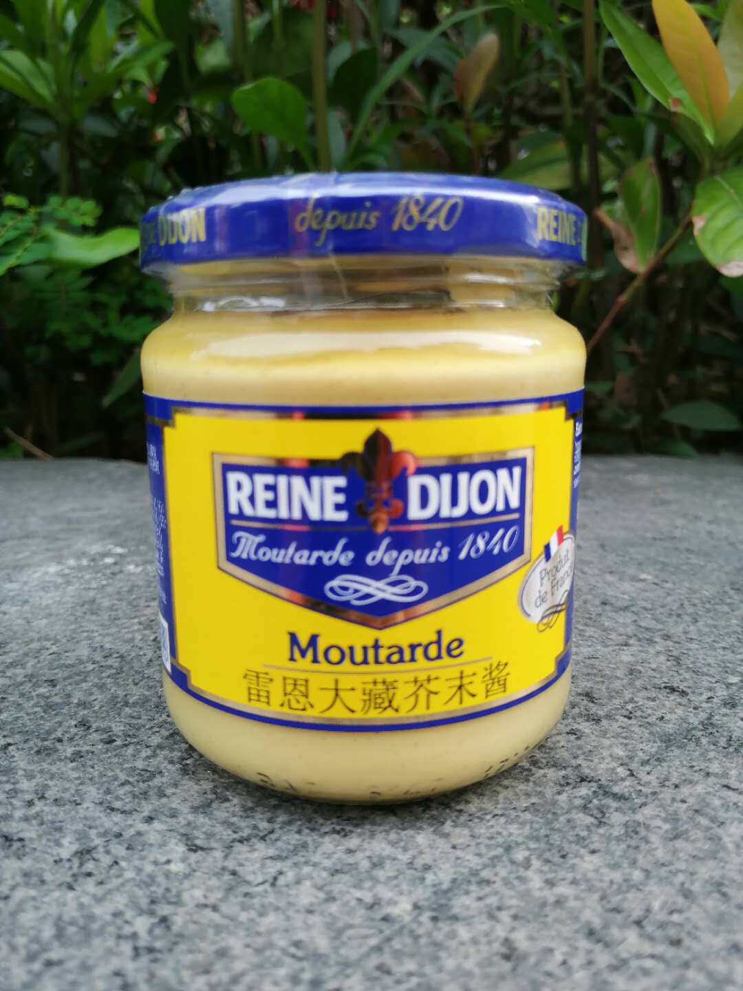 200g法国原装进口雷恩大藏芥末酱 调味酱reine dijon moutarde