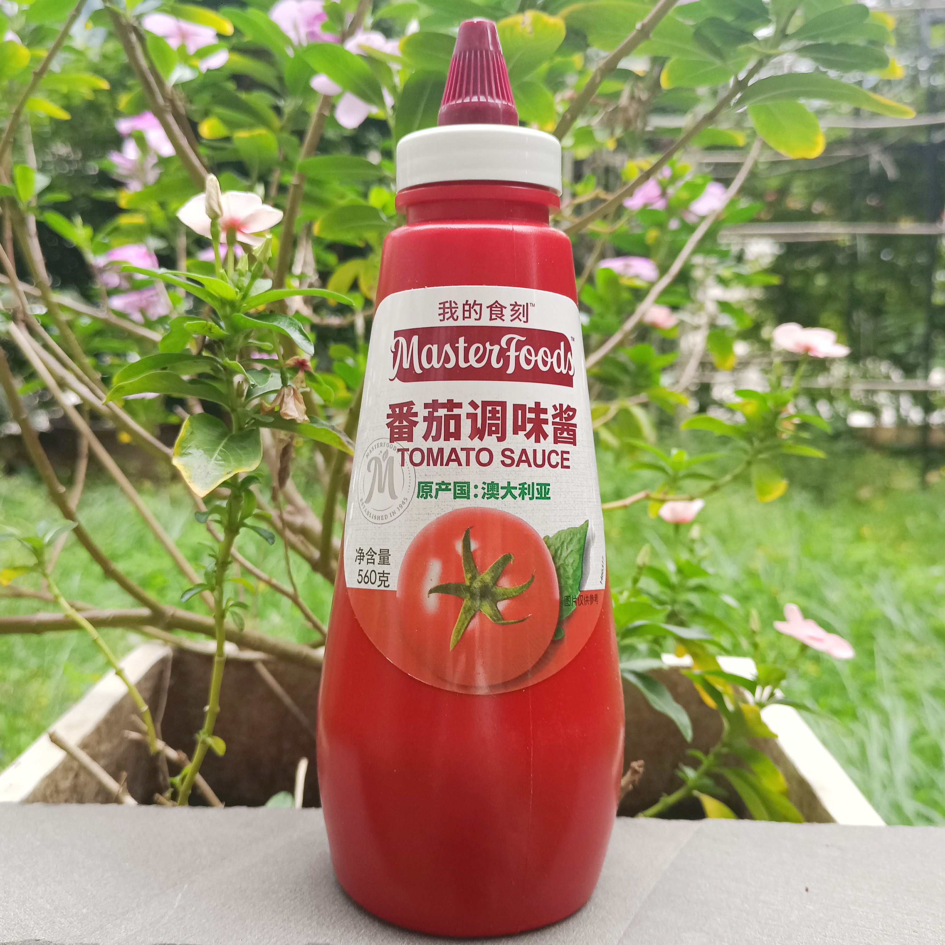 560g进口挤压瓶番茄酱意面手抓饼酱 masterfoods tomato sauce