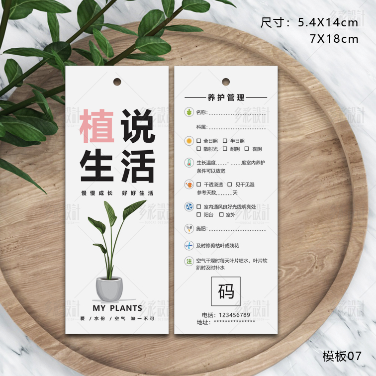 蝴蝶兰养护防水盆栽绿植挂卡吊牌