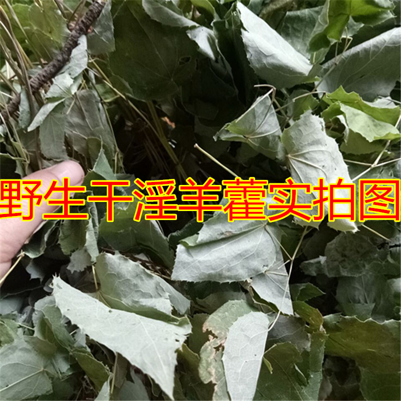 野生干淫羊藿仙灵脾泡酒料 炙淫羊藿叶仙灵脾羊藿叶一斤包邮