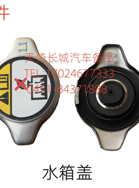 原厂适配长城欧拉IQ精灵炫丽凌傲酷熊哈弗M1M2M4C20RC30C50水箱盖