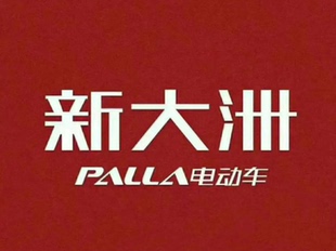 新大洲电动车配件大全外壳面板大灯前围挡泥板电瓶车脚踏板边条4