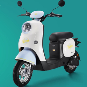 绿佳电动车巴黎Q1Q2全套塑料件外