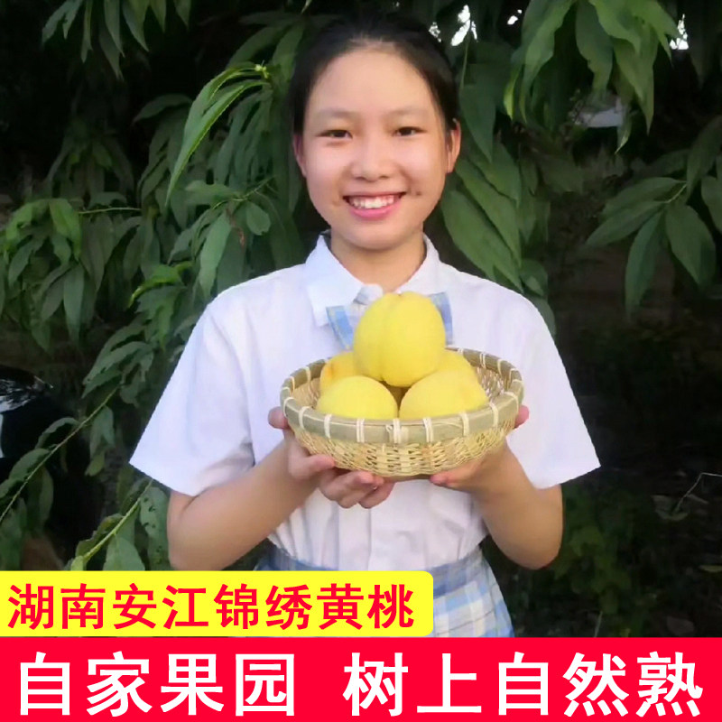 正宗湖南安江锦绣黄桃怀化松林高山红心桃子现摘现发新鲜孕妇水果