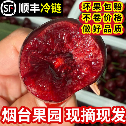 烟台发货美早大樱桃3斤5斤特大果
