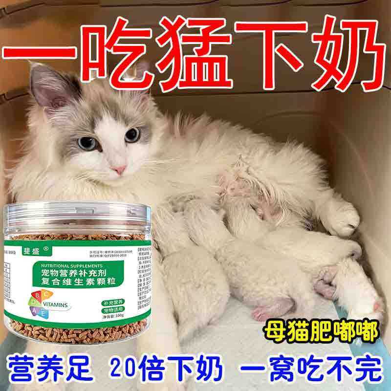 母猫下奶神器营养补充剂哺