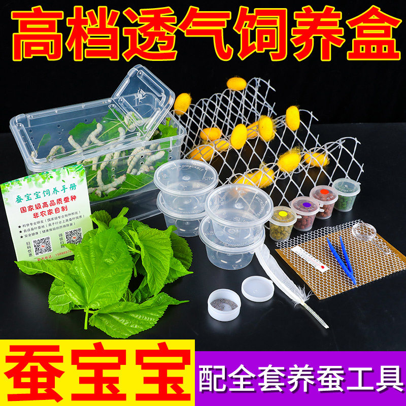 蚕宝宝套装送新鲜桑叶活蚕饲养盒蚕卵爬宠箱蚕饲料蚕别墅带盖透气