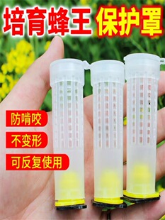 育王台基 王台防护罩 王台防咬保护罩 蜂王保护罩 王笼王台罩蜂具