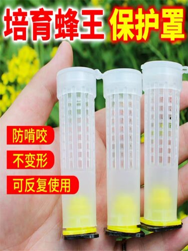 育王台基防护罩王台防咬保护罩