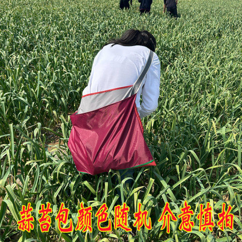 蒜苔采摘包农用采摘包摘苹果袋子果园采摘卸果专用袋果蔬采摘神器